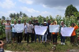 Aksi petani tembakau di Jember