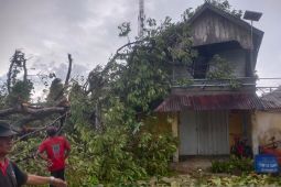 Puting beliung rusak puluhan rumah warga Pulau Gresik Belitung