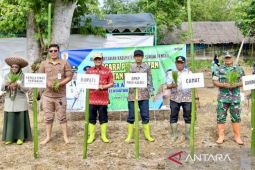 Pemkab HST percepat musim tanam padi di areal rawan banjir