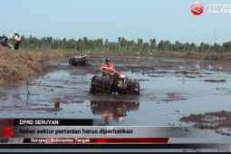 DPRD Seruyan dorong pemerintah tuntaskan persoalan pertanian