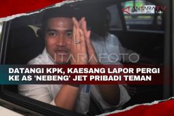 Datangi KPK, Kaesang lapor pergi ke AS 'nebeng' jet pribadi temen