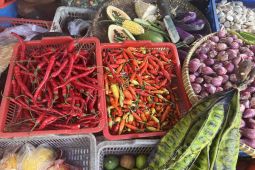 Harga pangan memasuki bulan Oktober tercatat fluktuatif, cabai rawit Rp45.670 per kg