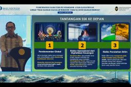 BI paparkan tantangan jaga stabilitas sistem keuangan RI