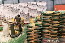 BI Kaltim:  Penyaluran SPHP tahan laju inflasi