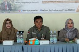Disbun Kaltim kembangkan kawasan perkebunan  berbasis korporasi