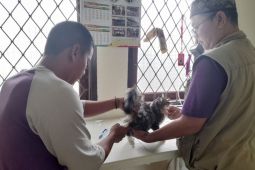 Pemprov Banten gelar vaksinasi rabies gratis, target 100 dosis