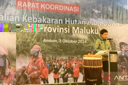 Pemprov Maluku optimalkan Perda Karhutla cegah kebakaran hutan, begini penjelasannya