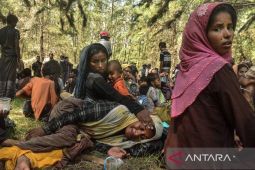 Pemulangan warga Rohingya dari Bangladesh tertunda