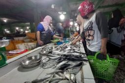 DJPb: Inflasi di Babel masih terkendali