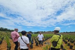 Region Head PTPN IV Regional V kawal langsung investasi  On Farm - Off Farm di Kalbar
