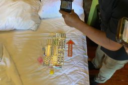 Polisi tak temukan bukti kekerasan pada jenasah warga Australia di Kuta