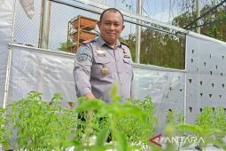 Lapas Narkotika Samarinda bina WBP garap  "smart farm"