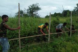 Korem Baabullah bersama petani tanam jagung wujudkan ketahanan pangan