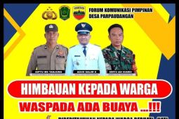 Penampakan dua ekor buaya di sungai Kualuh,   warga diminta hati-hati