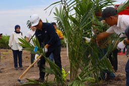 PTPN IV PalmCo menargetkan petani serap 2,1 juta bibit sawit unggul