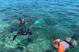 BKSDA Maluku intensifkan survei kawasan konservasi pastikan SDA aman