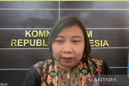 Komnas HAM nilai kasus Mary Jane bentuk diplomasi perlindungan warga negara