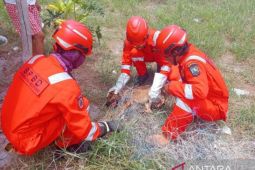 Damkar Belitung evakuasi seekor anjing terlilit jaring