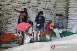 Bulog Manokwari pastikan stok CBP aman hingga Desember
