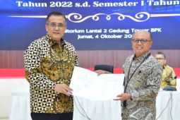 BPK periksa kinerja pengelolaan asuransi-PMN