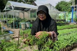 Kota Madiun raih enam penghargaan Kelurahan Berseri 2024