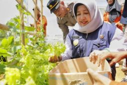 Pemkab Trenggalek galakkan program P2L untuk bangun ketahanan pangan