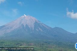 Gunung Semeru erupsi dengan letusan setinggi 400 meter