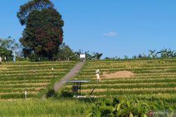 DPRD Seruyan dukung pengembangan infrastruktur pertanian melalui program pokir