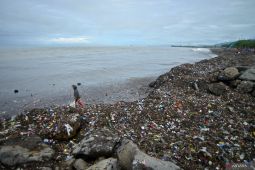 BRIN: Sampah laut hambat prooses produksi oksigen dari organisme laut