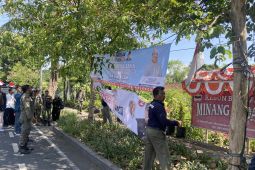 Tim gabungan di Denpasar copot baliho pilkada yang melanggar