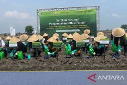 Banten disebut jadi provinsi defisit produk holtikultura se-Pulau Jawa