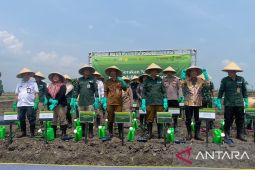 BI Banten tarik minat petani milenial lewat modernisasi pertanian