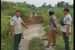 Tanggul Sei Kualuh jebol, belum ada rumah terdampak
