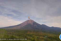 Semeru kembali erupsi setinggi 700 meter