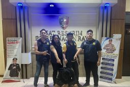 Polres Nagan Raya tangkap kurir gelapkan uang COD Rp14,8 juta