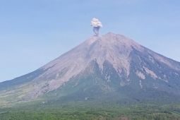 Semeru kembali alami erupsi dengan letusan setinggi 800 meter