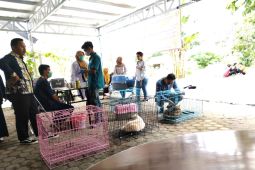 Disbunnak Tabalong target vaksinasi  2.000 ekor hewan pembawa rabies