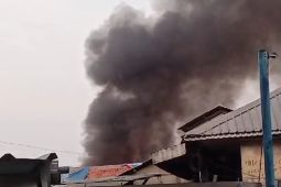 Satu orang tewas akibat kebakaran di Wijaya Kusuma Jakbar