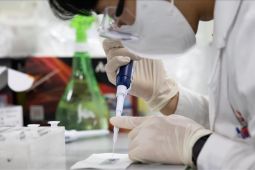 Wabah flu burung pertama ditemukan di Belanda