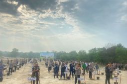 PT Timah ikut sukseskan gerakan tanam sejuta pohon di Bangka Belitung