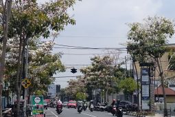 BPBD sebut Bojonegoro masuk suhu tertinggi kedua di Jatim