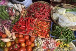Harga pangan hari ini mayoritas turun
