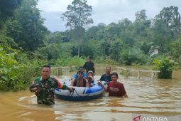 BPBD: Banjir melanda 11 kecamatan di Kapuas Hulu Kalbar