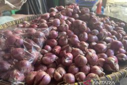 Harga komoditas pangan 19 Oktober, bawang merah Rp29.520 per kg