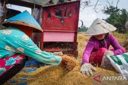 Pengamat: Lahan dan teknologi jadi tantangan kedaulatan pangan