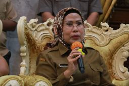 Pemkab Serang duplikasi Program Desa Cantik BPS