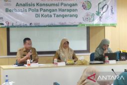 Dinas Ketahanan Pangan Kota Tangerang gelar Sosialisasi Analisis Pola Pangan Harapan