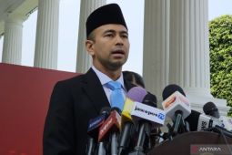 Berikut harta kekayaan Raffi Ahmad berdasarkan data LHKPN