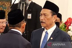 Soal kenaikan PPN 12  persen pada 2025, Luhut: Hampir pasti diundur