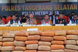 Polres Tangsel sita 642 kg ganja dari tiga kelompok pengedar